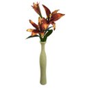 Haste Lirio Colorido