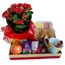 Cesta de Café da Manhã, Flores e Chocolate