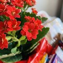 Cesta de Café da Manhã, Flores e Chocolate