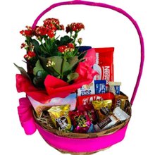 Cesta de Chocolates Carinho