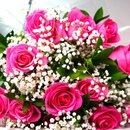 Buquê de 12 Rosas Pink