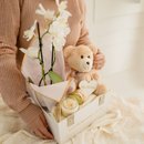 Cesta Presente Ursinho Enchanté