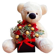 Urso com Caixa de Rosas Vermelhas