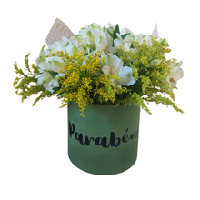 Astromélias na Caixa