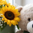 Urso Gigante com Girassóis
