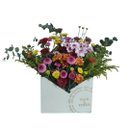 Caixa Delicatesse Mulher