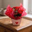 Kalanchoe Vermelho Para Presente 