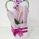 Orquídea Phalaenopsis Coração Cor Roxa Mesclada