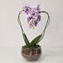 Orquídea Coração Lilás no Bowl de Vidro