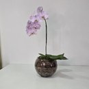 Arranjo de Orquídea Lilás no Bowl de Vidro