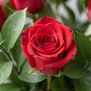 Buquê Tradicional de Rosas Vermelhas 