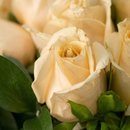 Buquê 12 Rosas Champanhe