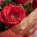 Surpreenda com Buquê de Rosas Vermelhas