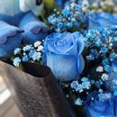 Ramalhete com 08 Rosas Azul e Stitch