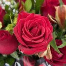 Buquê com 14 Rosas Vermelhas