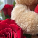 mimo especial de rosas e urso
