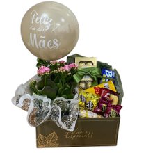 Cesta com Chocolates, Balão e Vaso de Calandiva