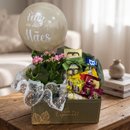 Cesta com Chocolates, Balão e Vaso de Calandiva