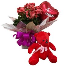 Surpreenda com Begônia e Urso de Pelúcia