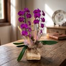 Surpreenda com Orquídea Roxa