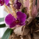 Surpreenda com Orquídea Roxa