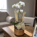 Orquídea Essência Pura