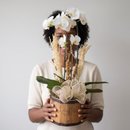 Orquídea Essência Pura