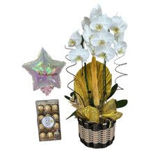 Páscoa Luxo Dourado