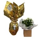 Ovo de Páscoa com Calandiva