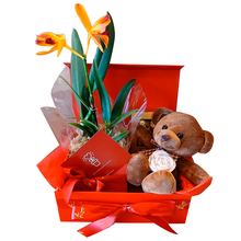 Caixa para Presentear 