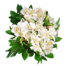 Buquê Boas Lembranças