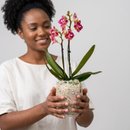 Mini Orquídea em Vidro