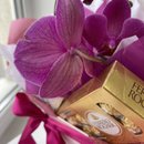 Orquídea Roxa com Ferrero Rocher 8un