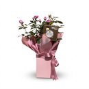 Roseira & Ferrero Rocher 4un