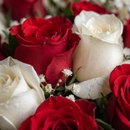 Buquê Amor 12 Rosas Vermelhas & 12 Brancas