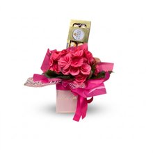 Bêgonia P & Ferrero Rocher 8un