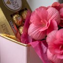 Bêgonia P & Ferrero Rocher 8un