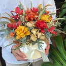 Primavera Solar Arranjo natural desidratado