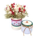 Kit Flores Desidratadas com Vela Aromática Natal