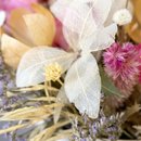 Box Floral Harmonia 
