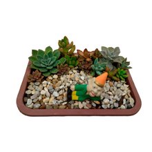 Arranjo de suculentas decorativo com Duende