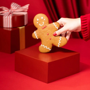 Kit Harmonia de Natal Biscoitê