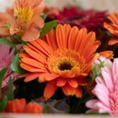 Buquê Especial de Gerberas Coloridas