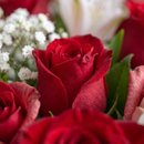 Buquê de Rosas Vermelhas Premium