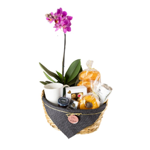 Cesta Afeto em Flor 