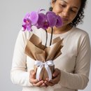 Vaso de Orquídea Phalaenopsis Lilás