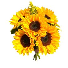 Lindo Buquê com 6 Girassóis