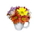 Arranjo Teacup Flowers