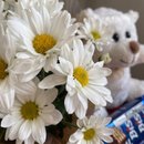 Mini Margarida com Urso Pelúcia e Caixa de Bis
