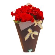 Begônia Vermelha Cone